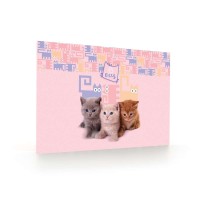 PREMIUM LIGHT PETS íróasztal alátét lányoknak, cicás - pink