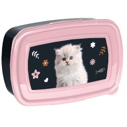 Paso uzsonnás doboz, cicás, virágos