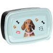 Paso uzsonnás doboz, kutyás, türkiz