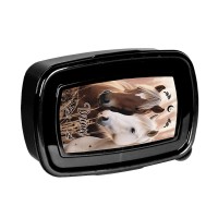 Lovely Horses uzsonnás doboz lányoknak, lovas